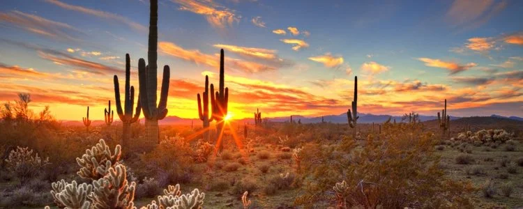 arizona-blog-header.avacustomrendition.2100.0.jpg