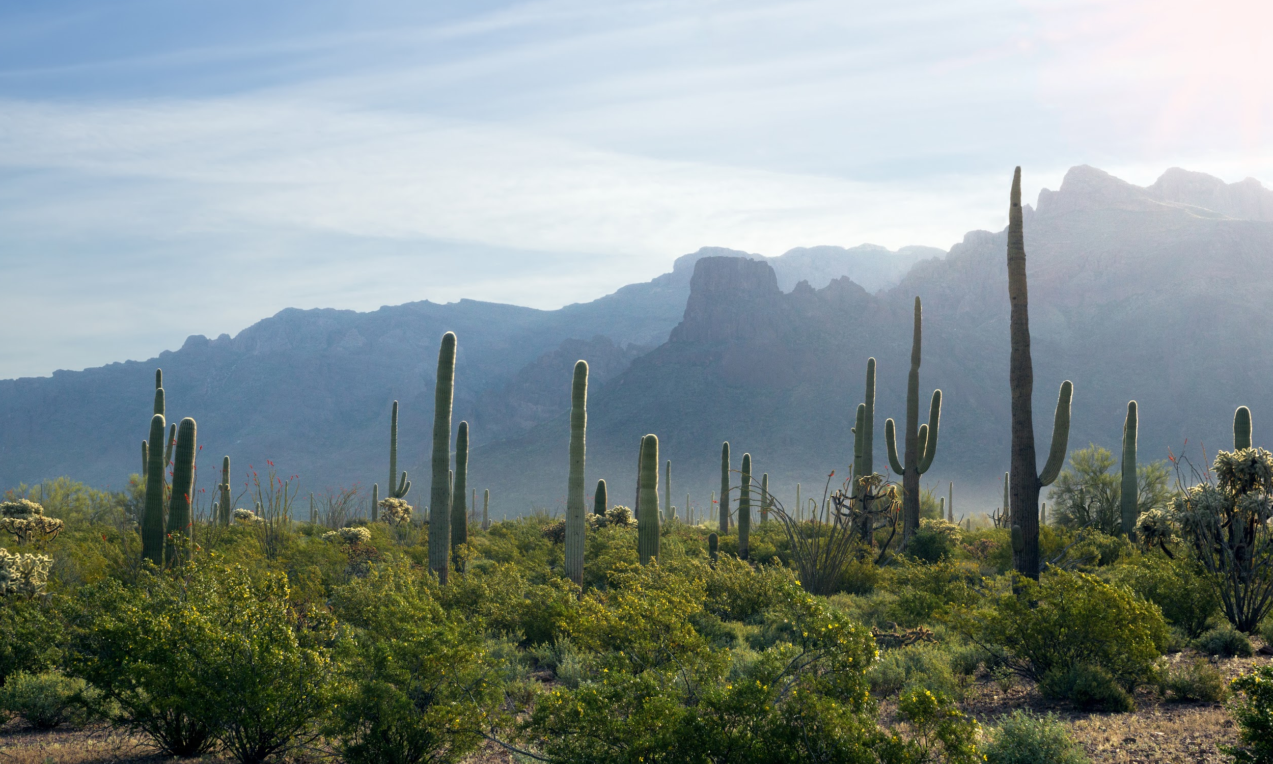 D&W Webpage LinkedIn Post 1500 x 2500.png