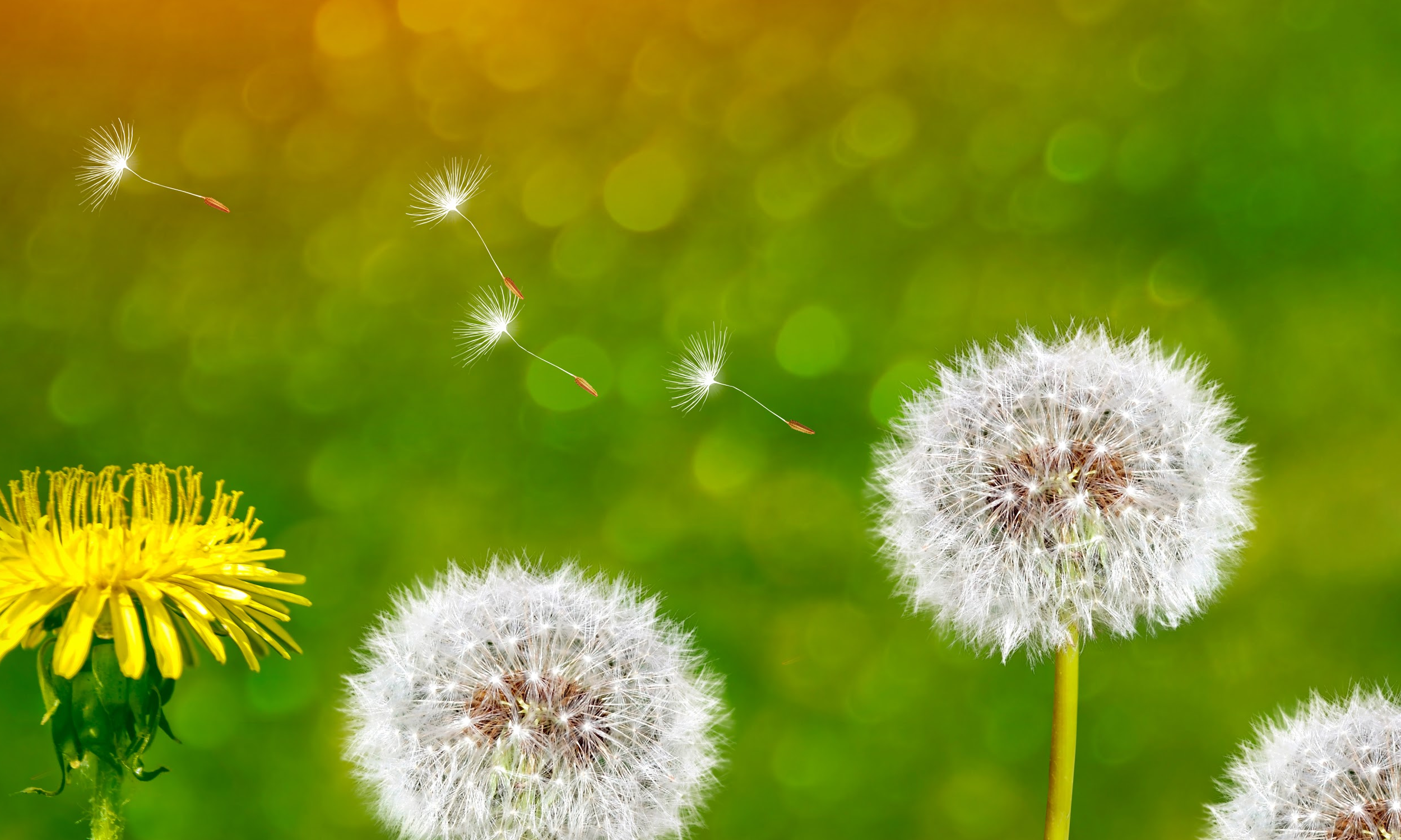 D&W Webpage LinkedIn Post 1500 x 2500 (8).png