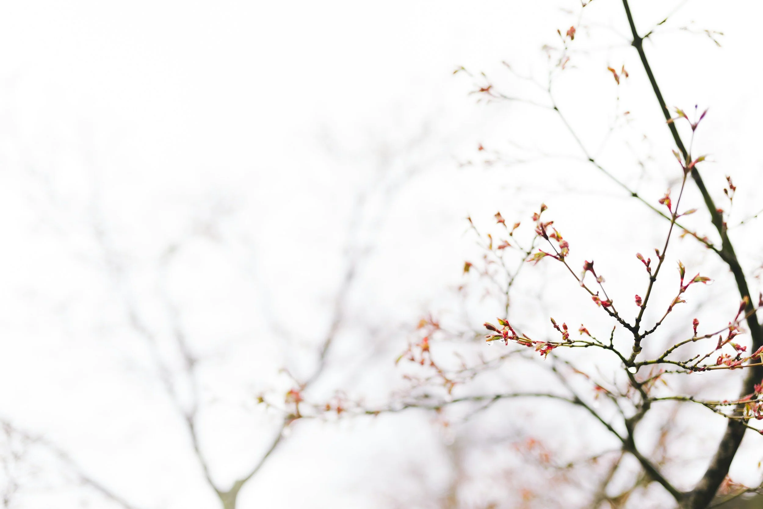 Breaking Free from Relational Trauma