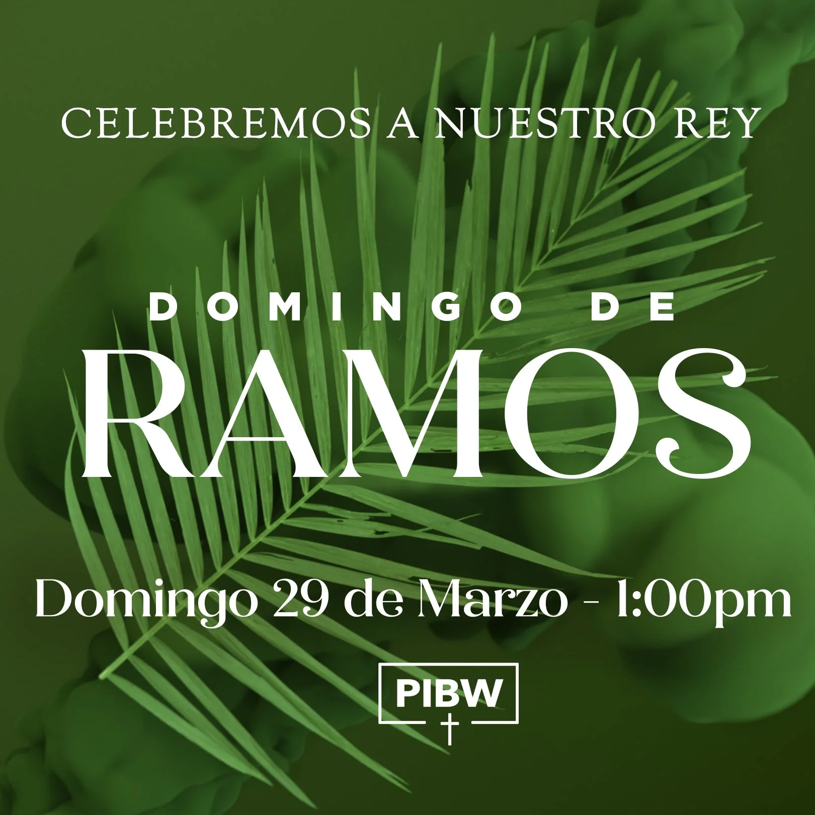 Servicio Especial por Domingo de Ramos