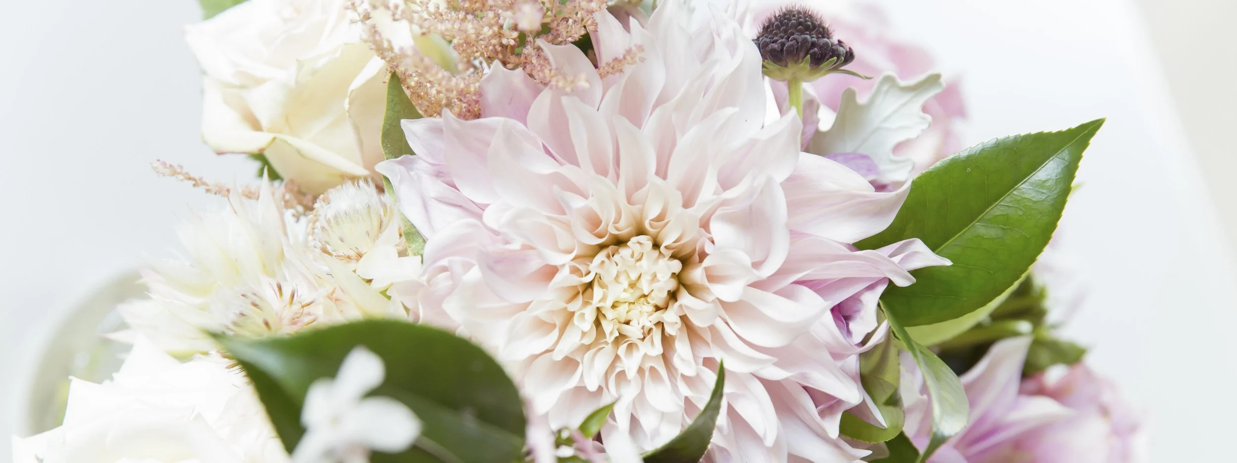 Like a Letter Flowers.jpg