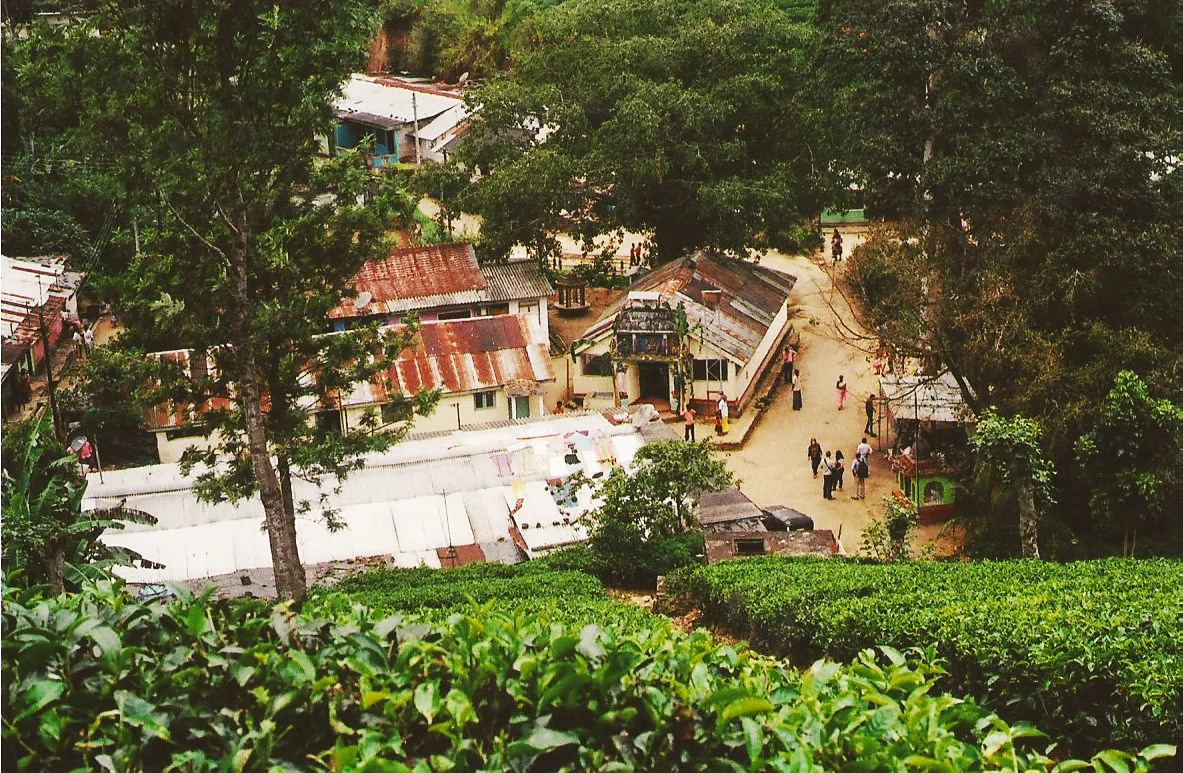 A tea village near Nuwara Eliya, home to Tamils, a minority ethnic group in Sri Lanka.