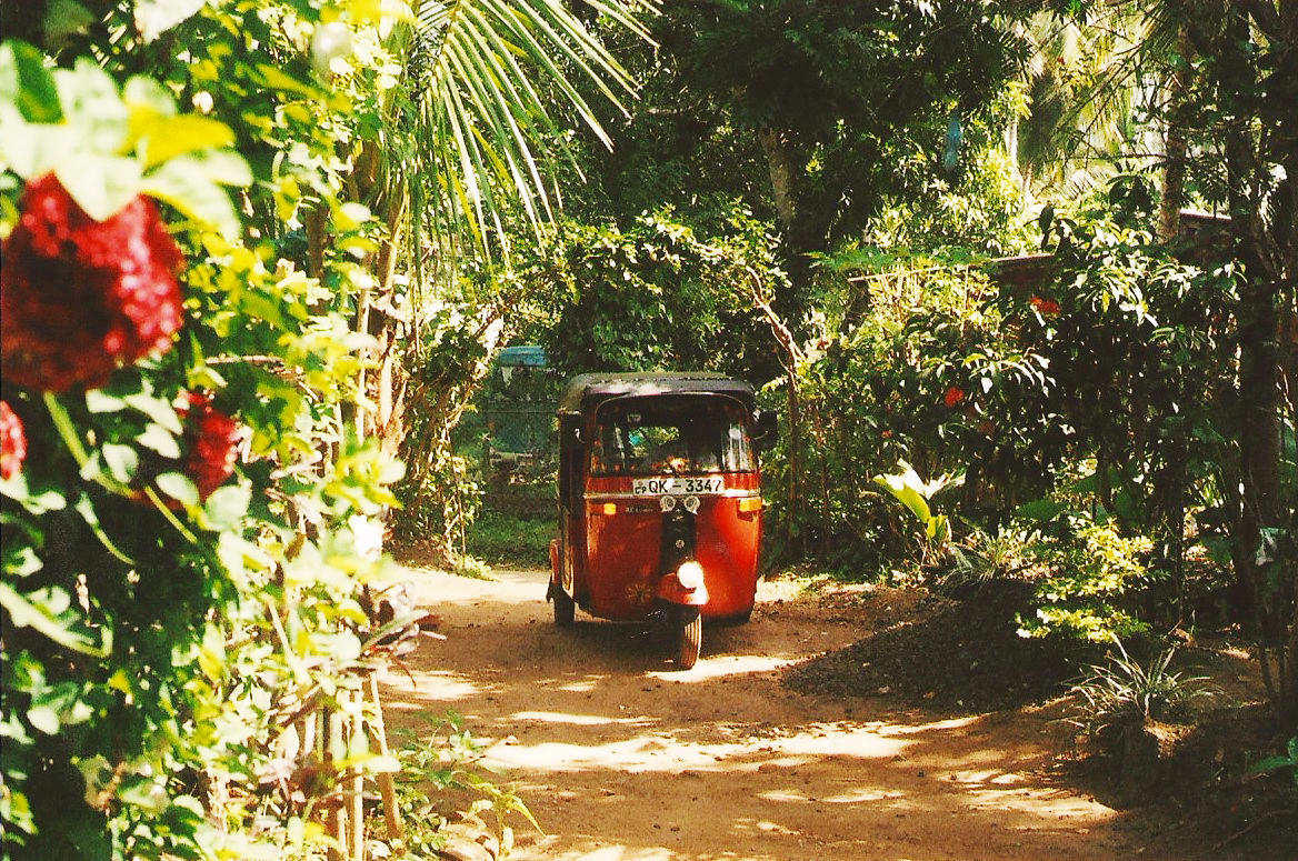 A red tuktuk in its natural habitat.
