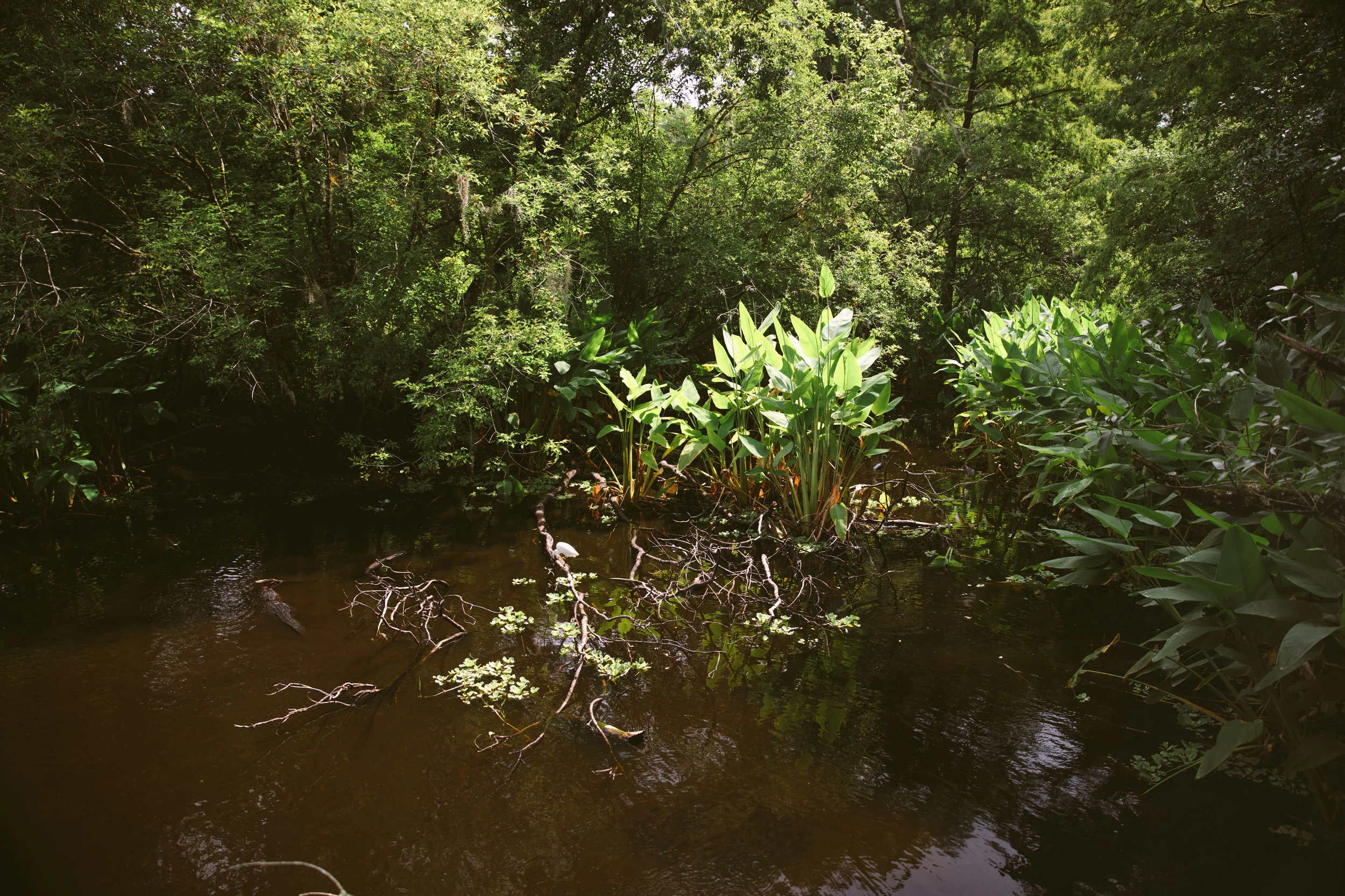 Florida-ElenaPressprich-38.jpg