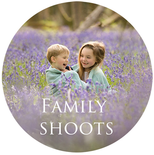 family gallery button.jpg