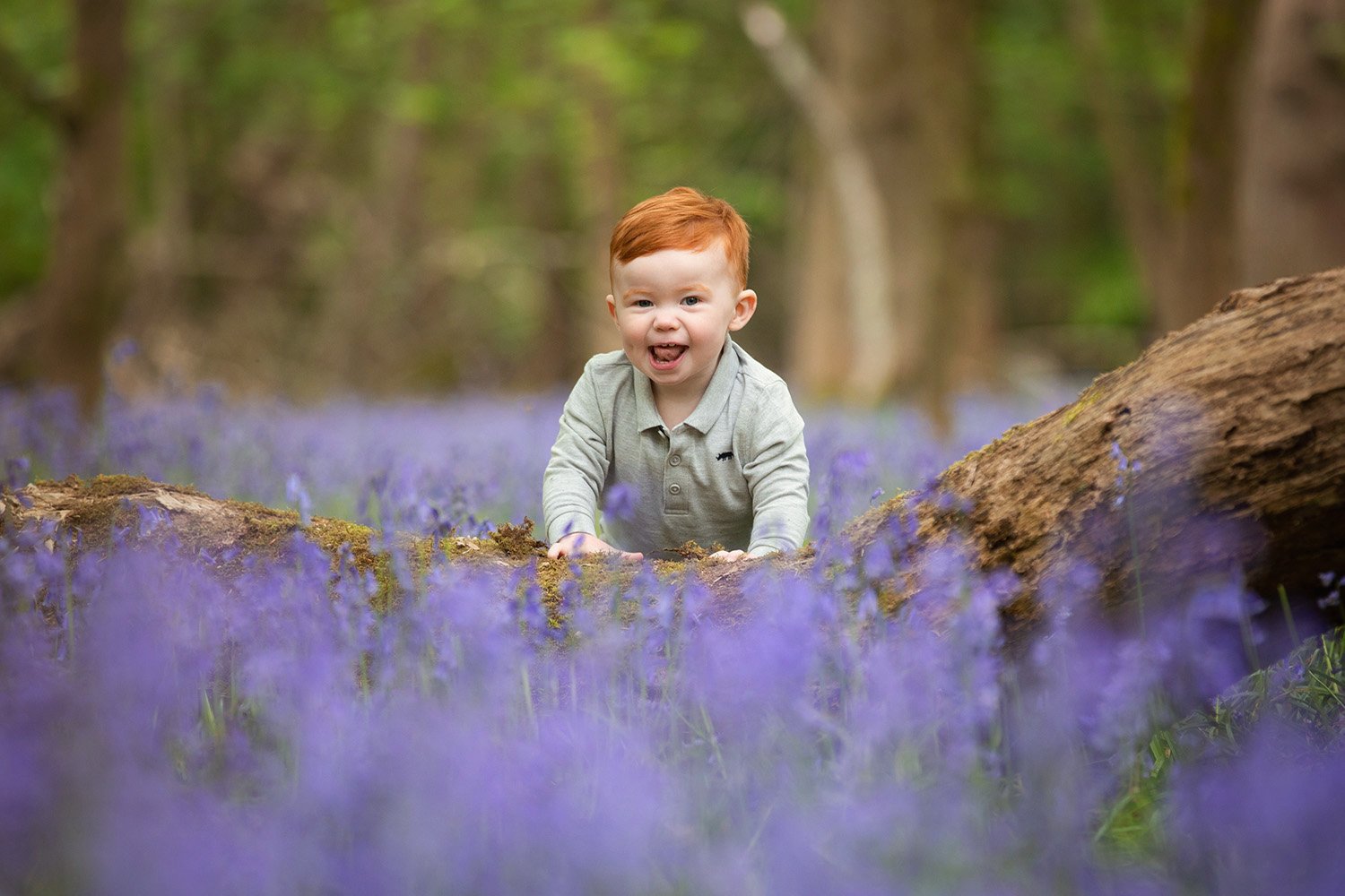 Tring Bluebell photoshoot