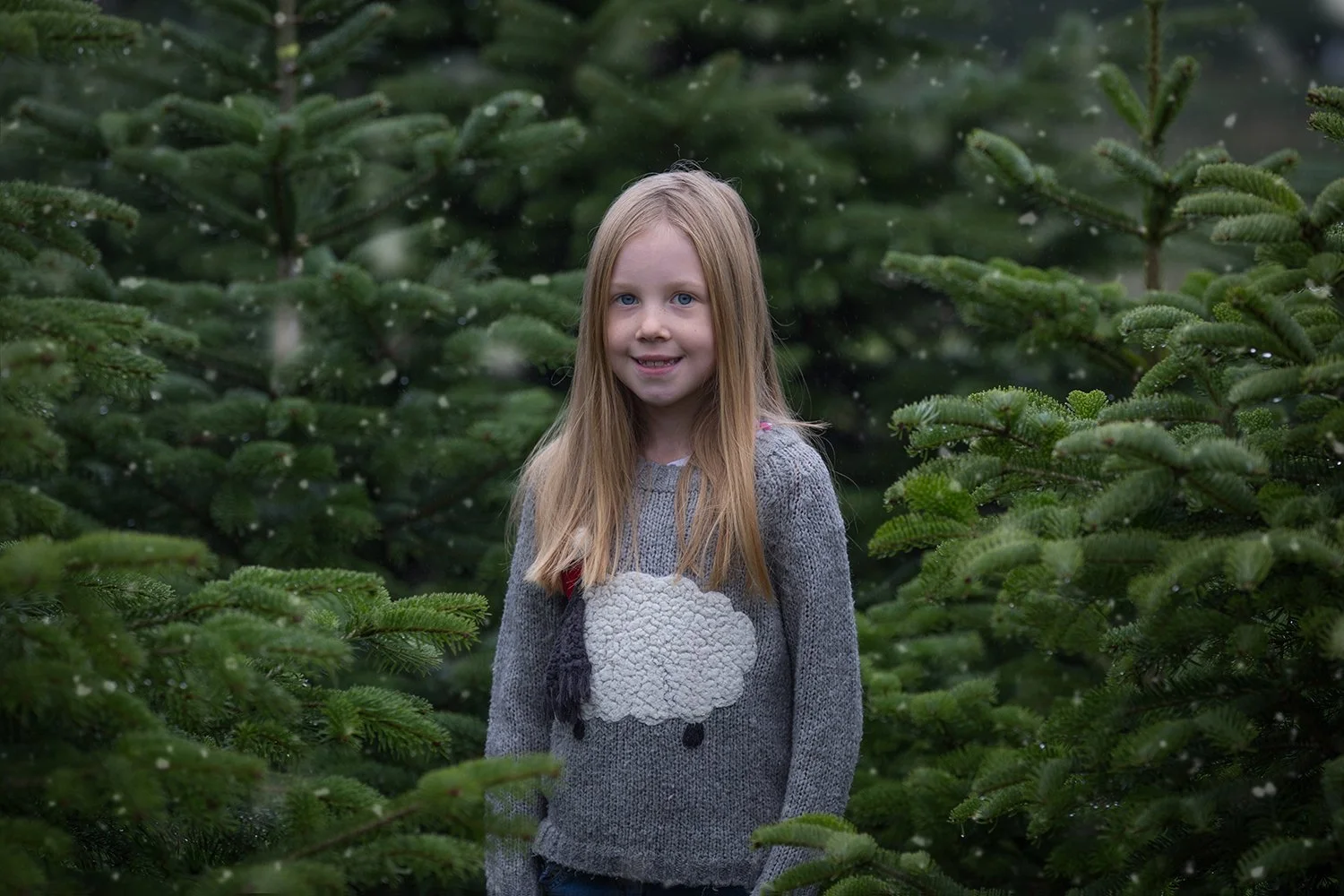 Christmas Photography Berkhamsted