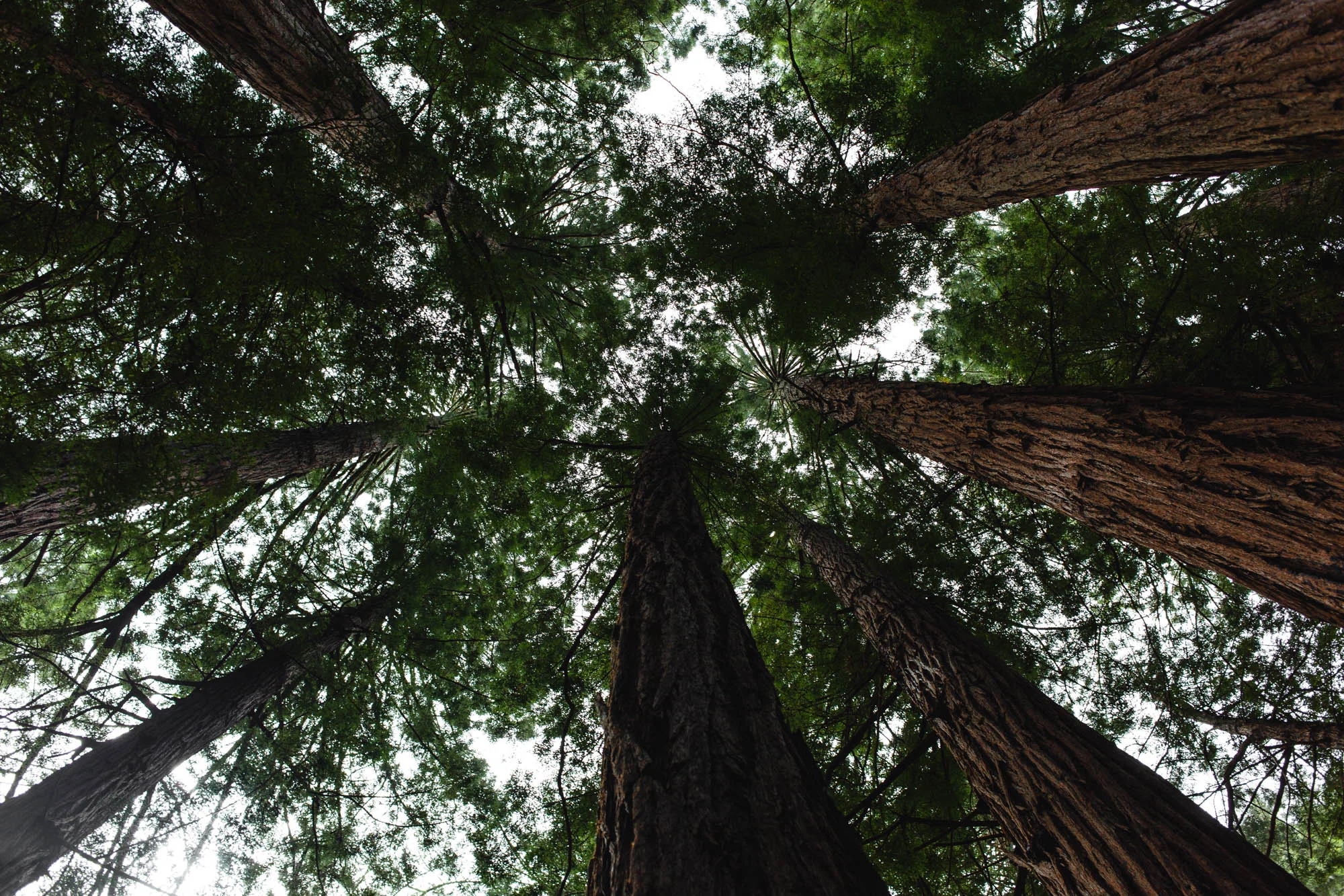 Cali Trip-218.jpg