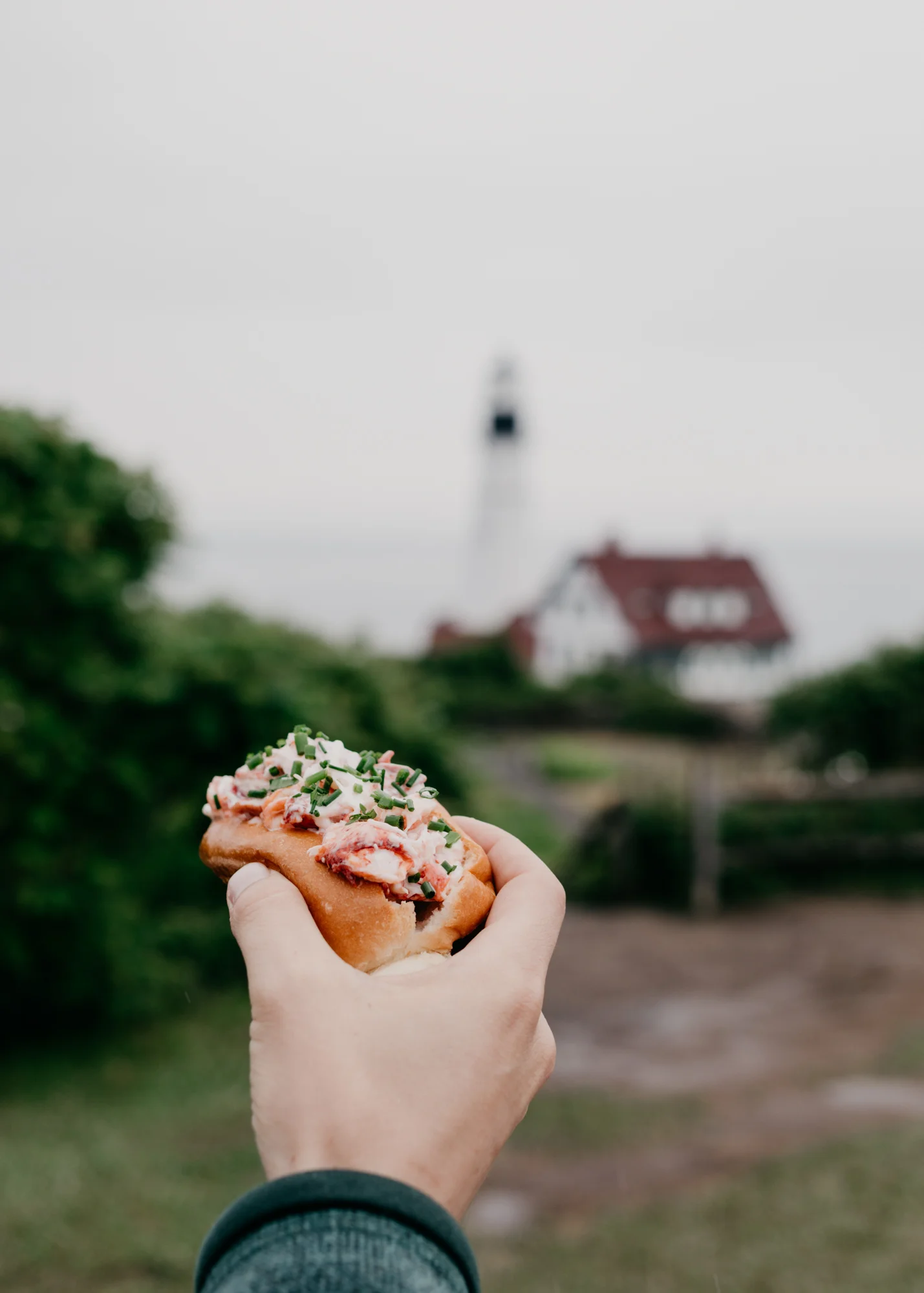 Portland and Acadia-159.jpg