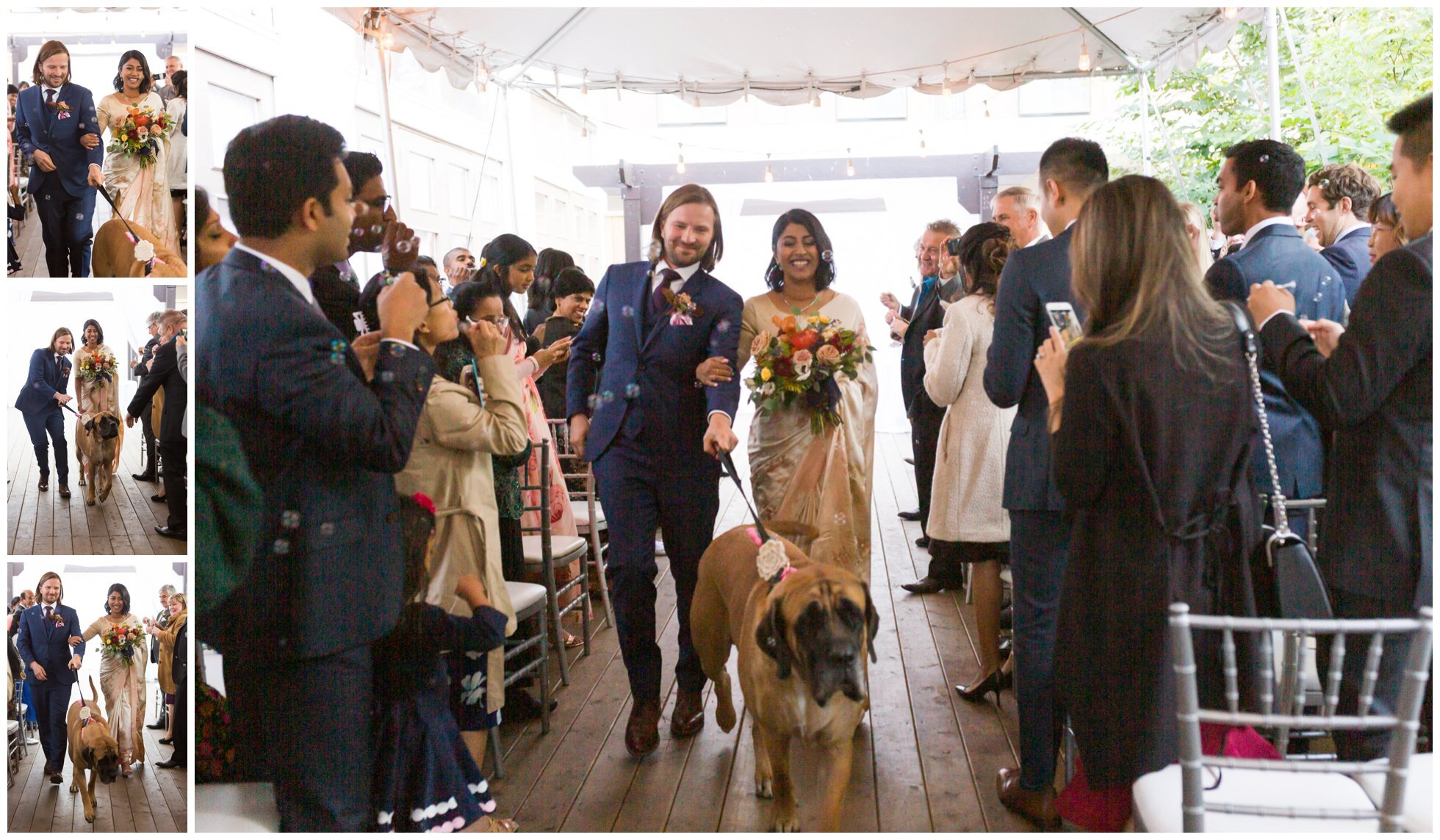 Krzysztof and Dileshni Toronto Wedding (Life by Selena Photography)_0040.jpg