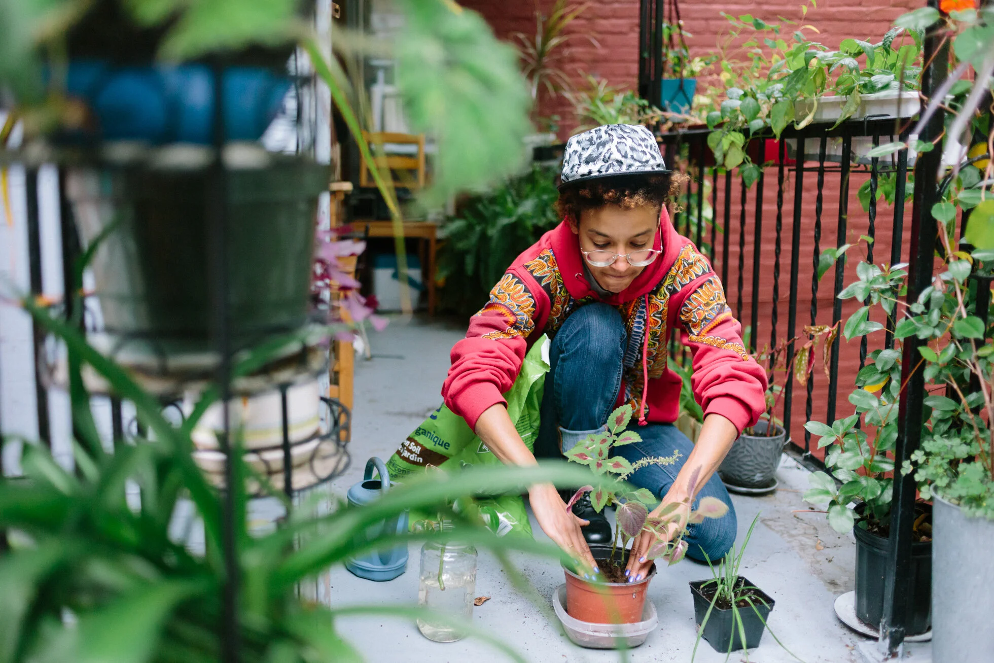 Pandemic Garden Portraits (Selena Phillips-Boyle) (Selena Phillips-Boyle)-1.jpg