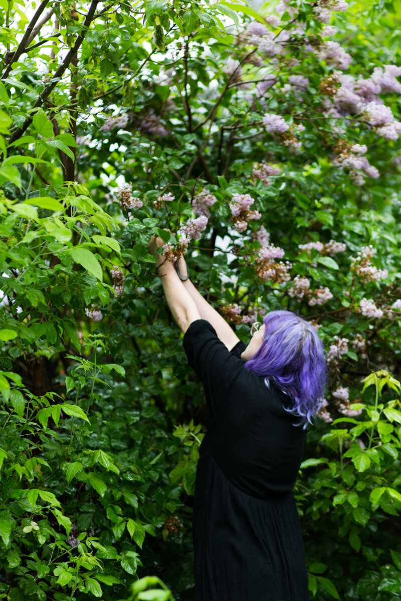 Tessa Gibson (City Witch) harvests lavender from their backyard to create artisan tinctures and candles in their home studio in Ottawa, Canada.