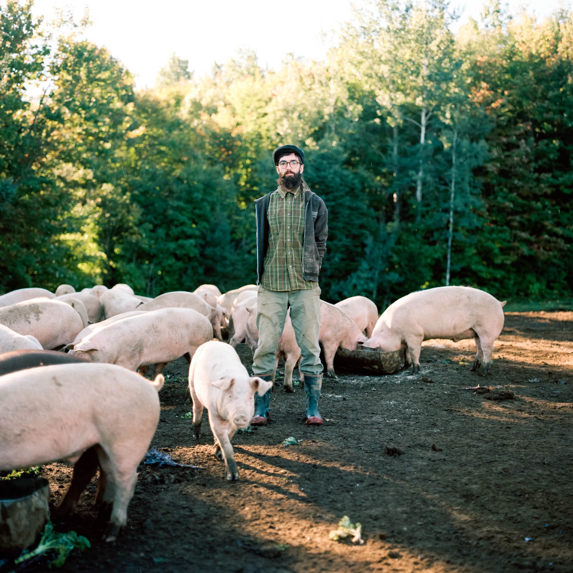  Étienne, a Quebec farm worker, raises pigs at his farm, providing ethically raised meat for the local food economy. (Québec Farm Workers 2016) 