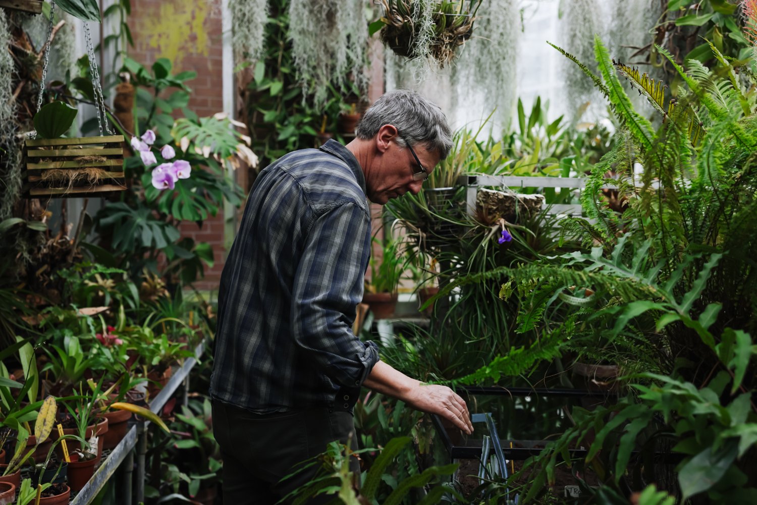  Bill Cole steps into a greenhouse and immediately identifies a plant that needs to be moved from a smaller to a larger pot. In one of the experimental greenhouses, he checks the progress of the experiment and quickly assesses what needs to be done n