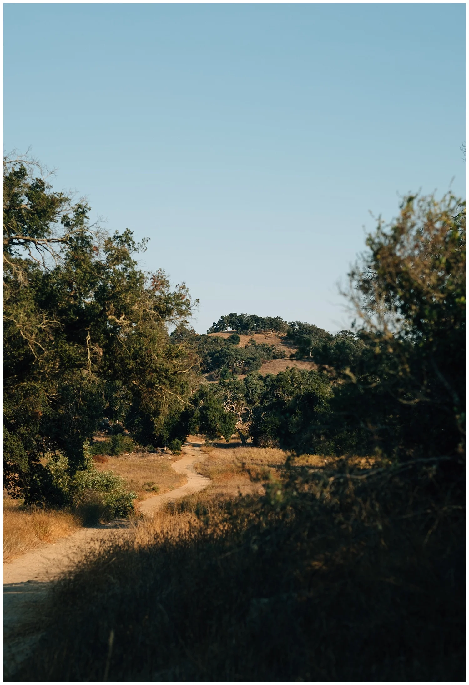 California_Country_Engagement_Session_19.jpg