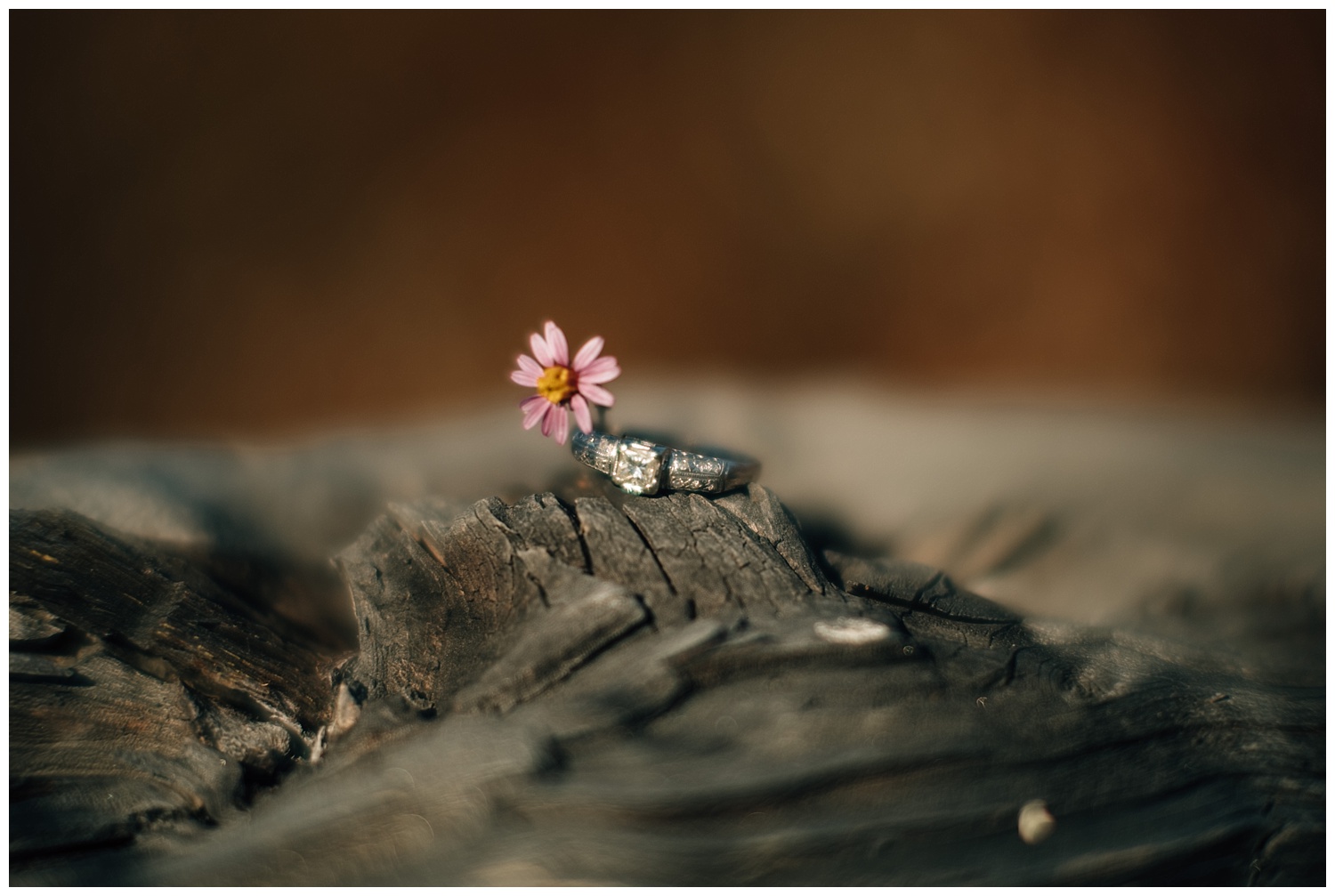 California_Country_Engagement_Session_46.jpg