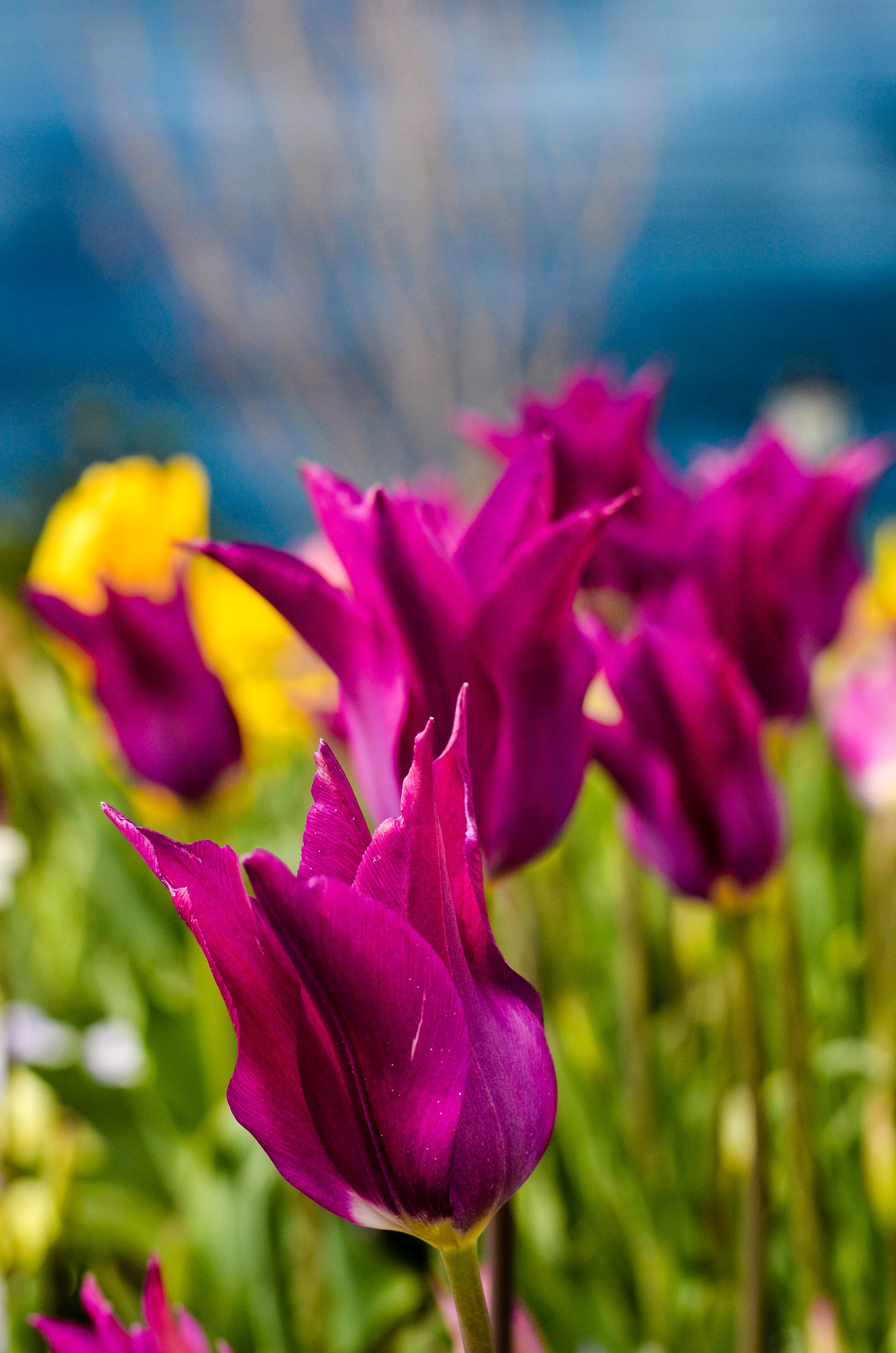 editedforphotoshop-0305.jpg
