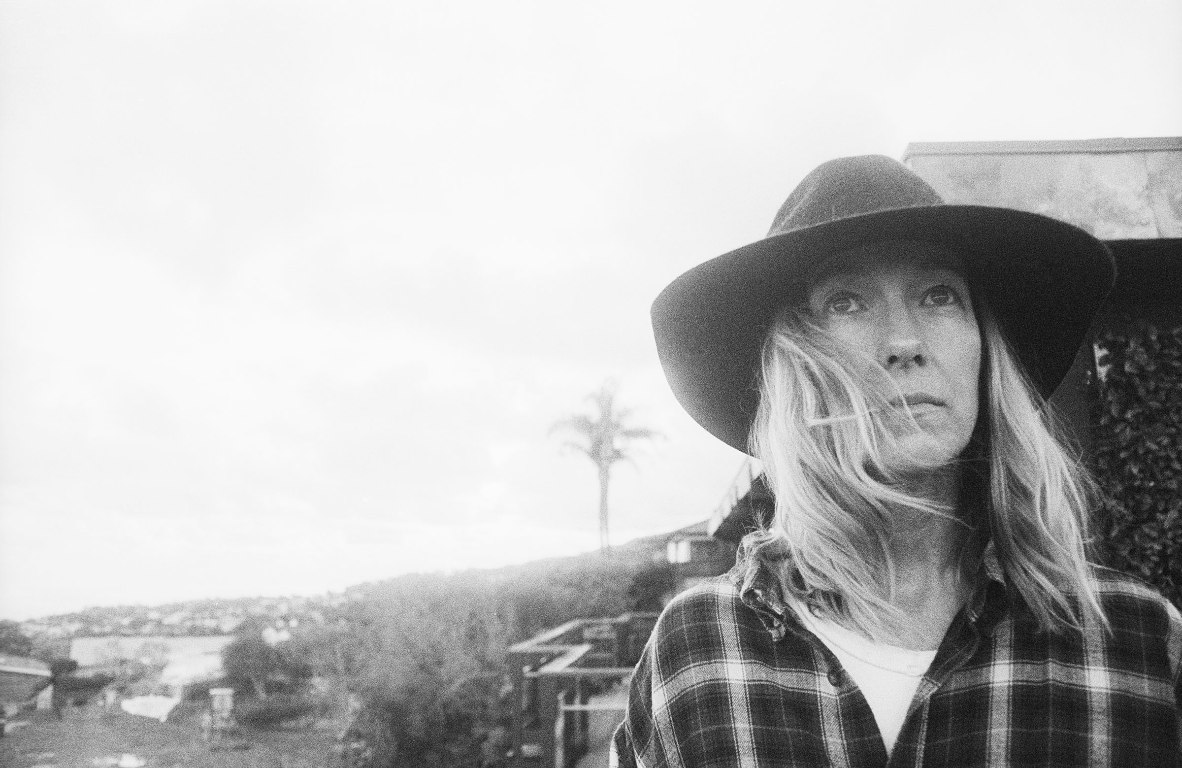 Amy - Palm Tree & Wind_FINAL(print ready).jpg
