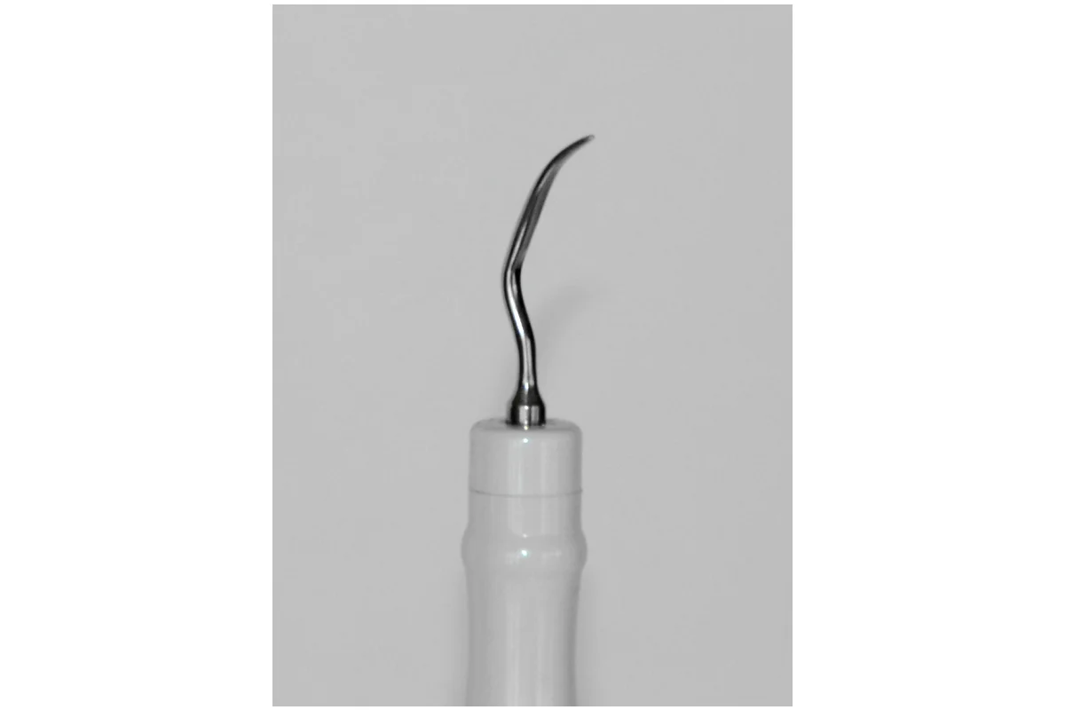 01 - P10M (edited).jpg