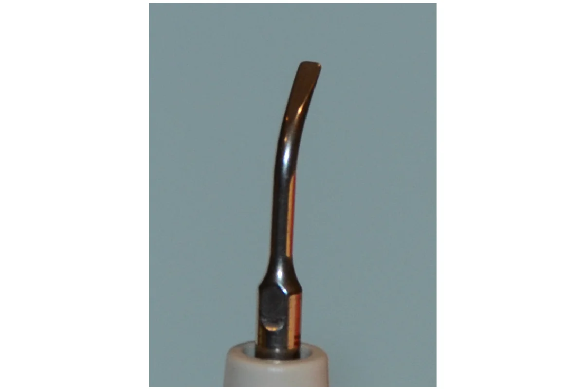 01 - NAIIP3 (edited).jpg