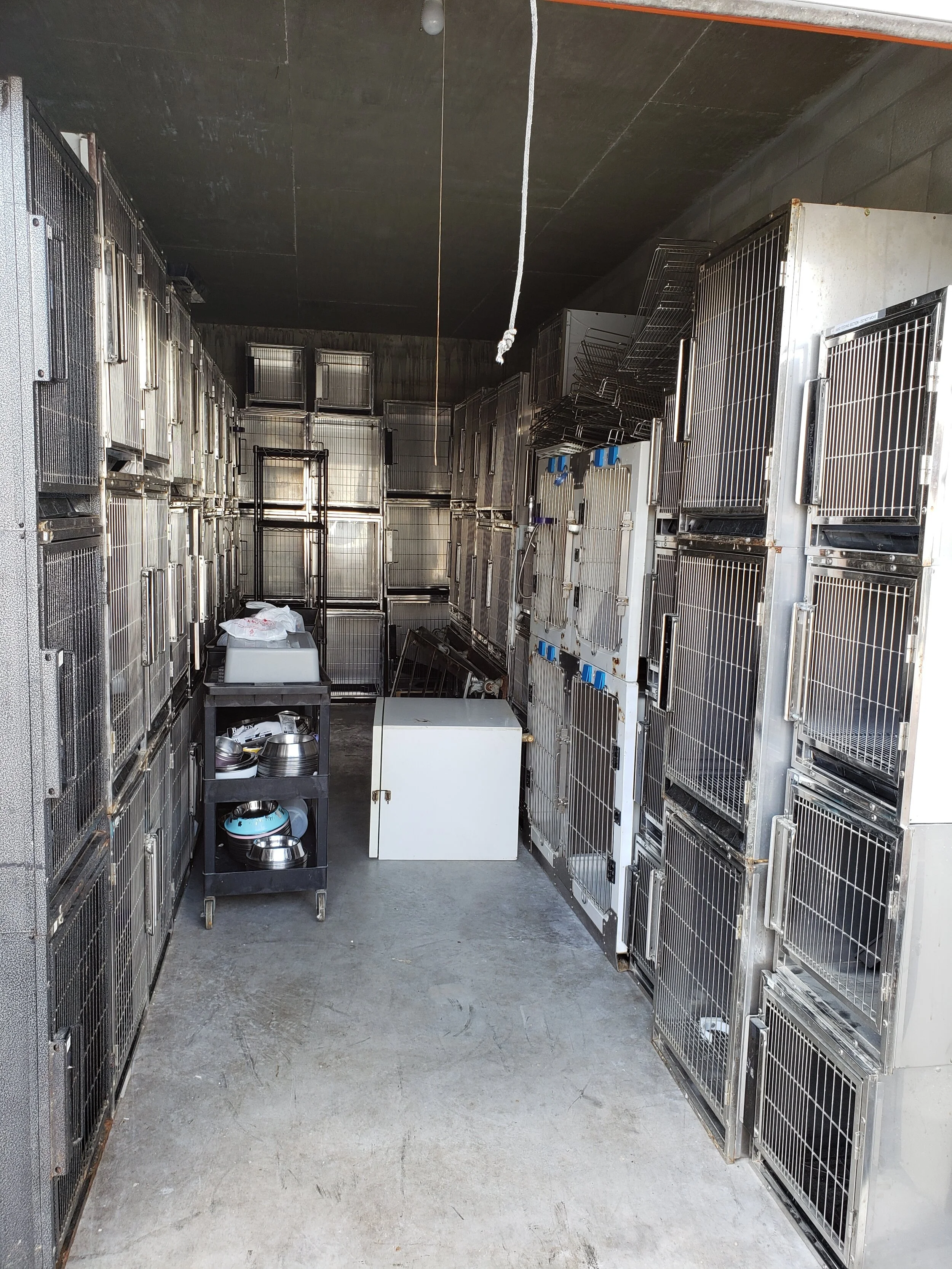 Pro Select Puppy Store.jpg