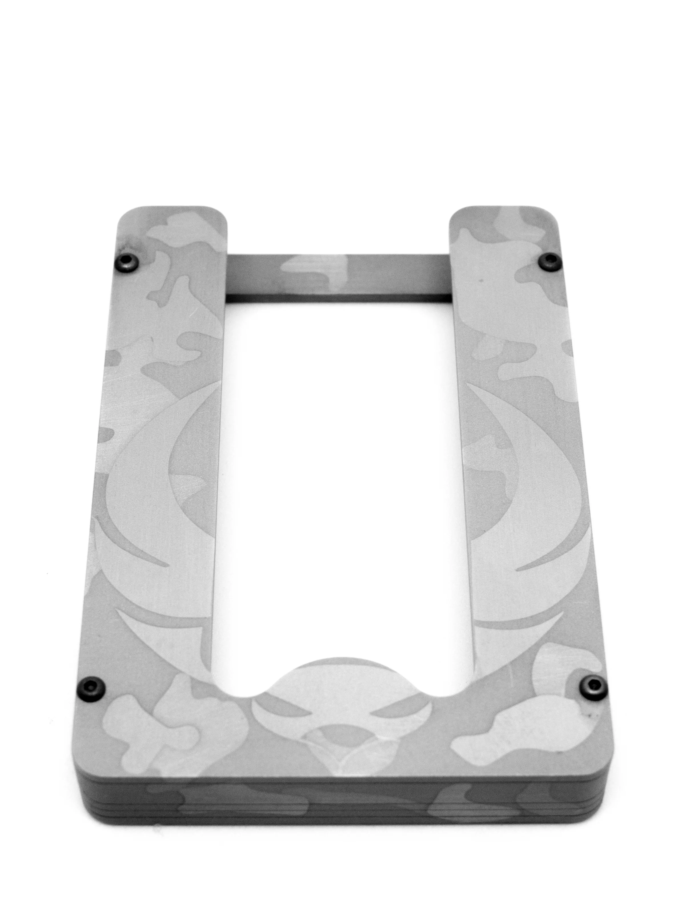 Mini-Form2-HoloCam.jpg