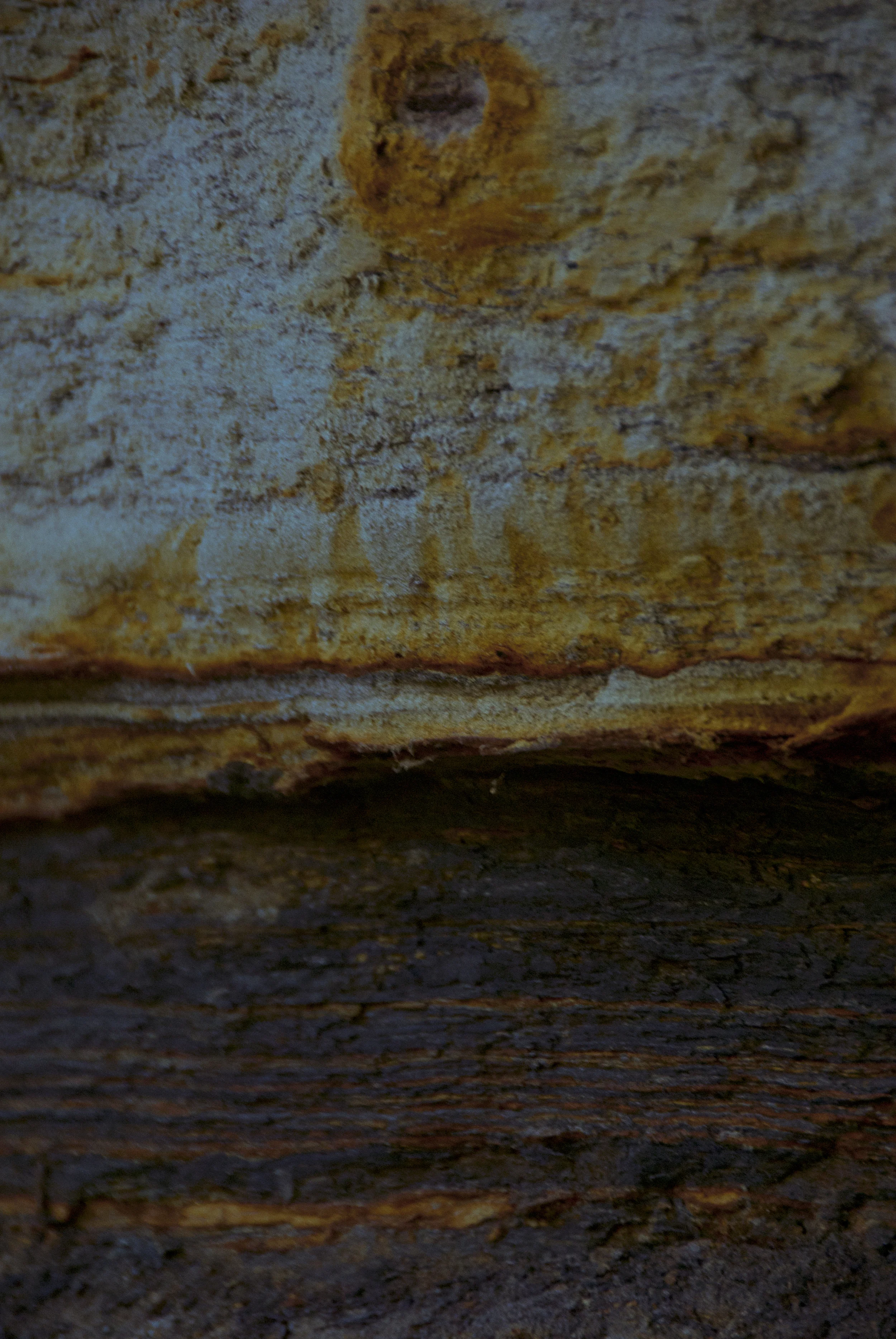 Echo Cliff 2011