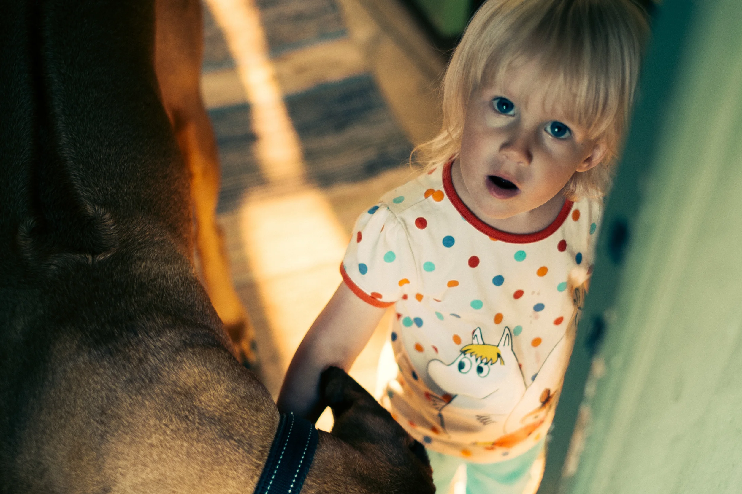  Child and Dog, Koberg, Sweden 