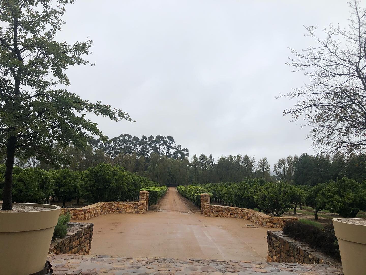 Welcome to @waterford_estate 
#winetasting #chocolatetasting 
#waterfordwineestate #shiraz #cabernetsauvignon #heatherleigh #stellenbosch #southafrica #luxtravelgirltravels