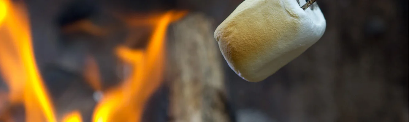 Can I have S'more?