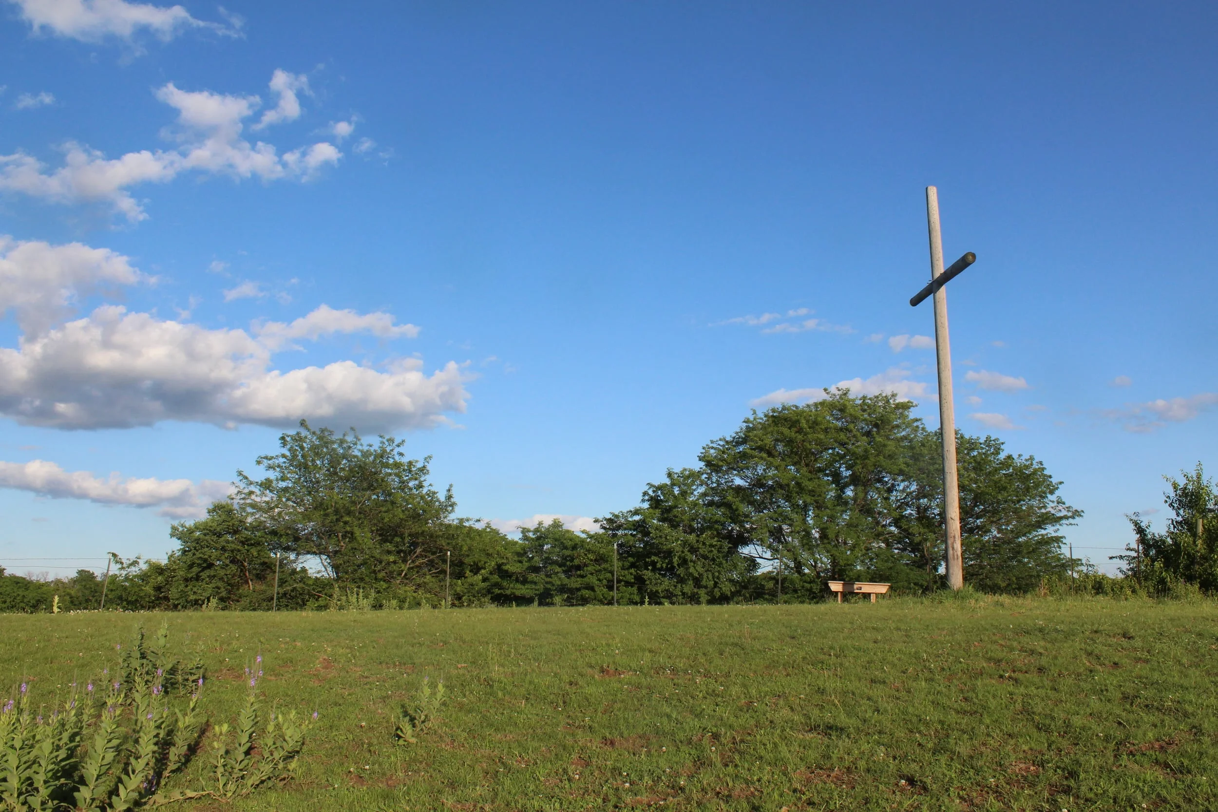 5 Ways Camp Changed My Life