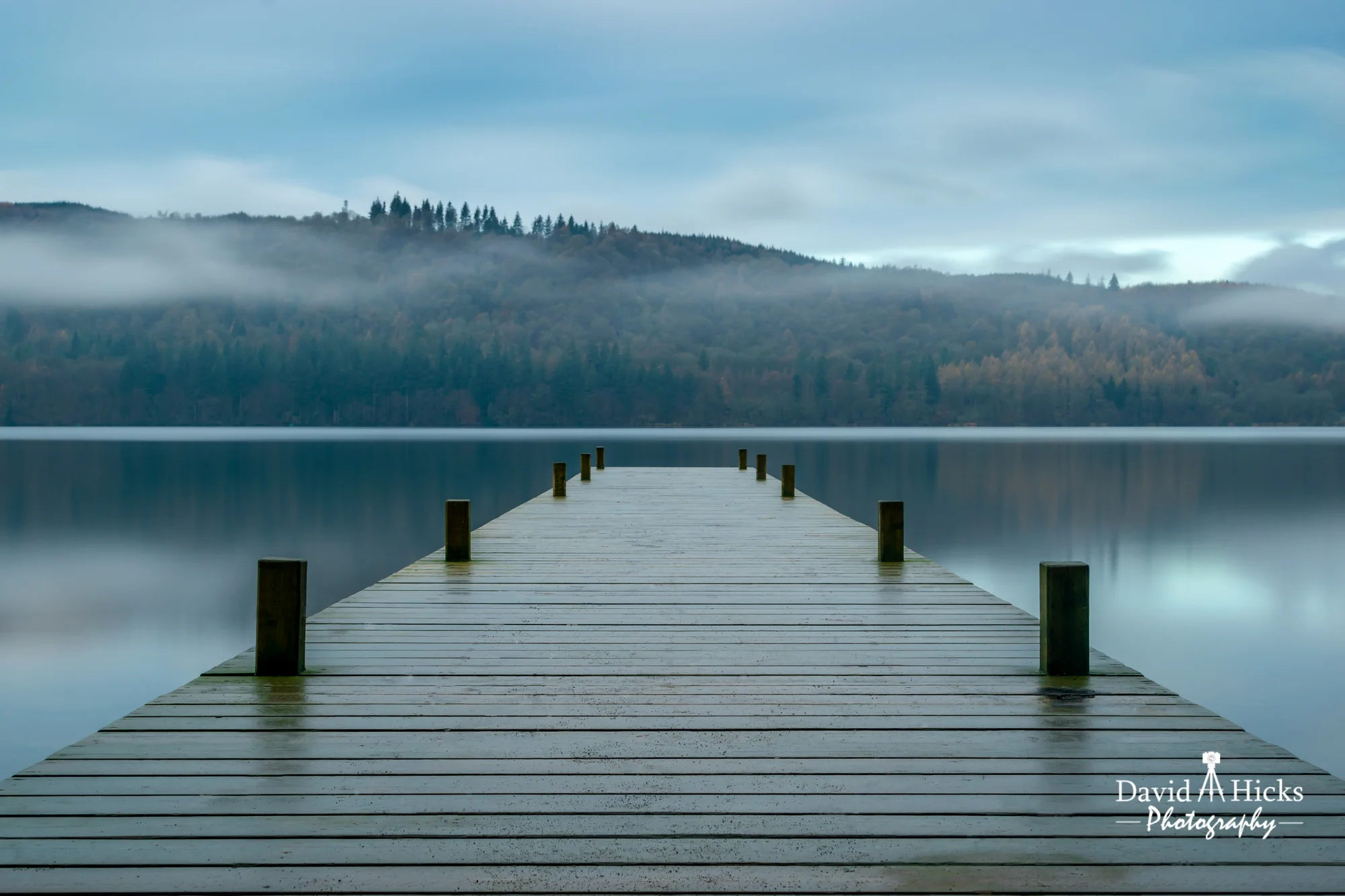David_A_Hicks_Photography (36 of 77).jpg