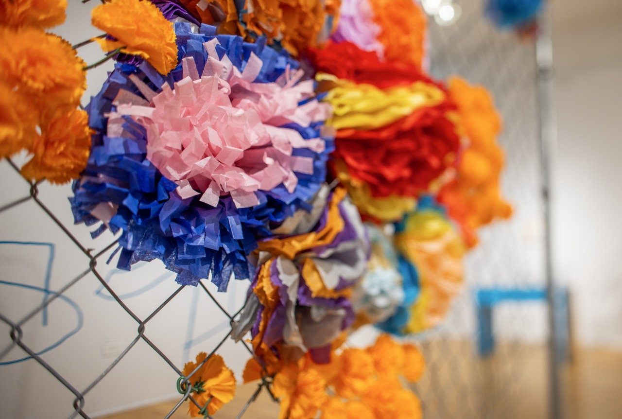 _48A5760 copy Large.jpeg