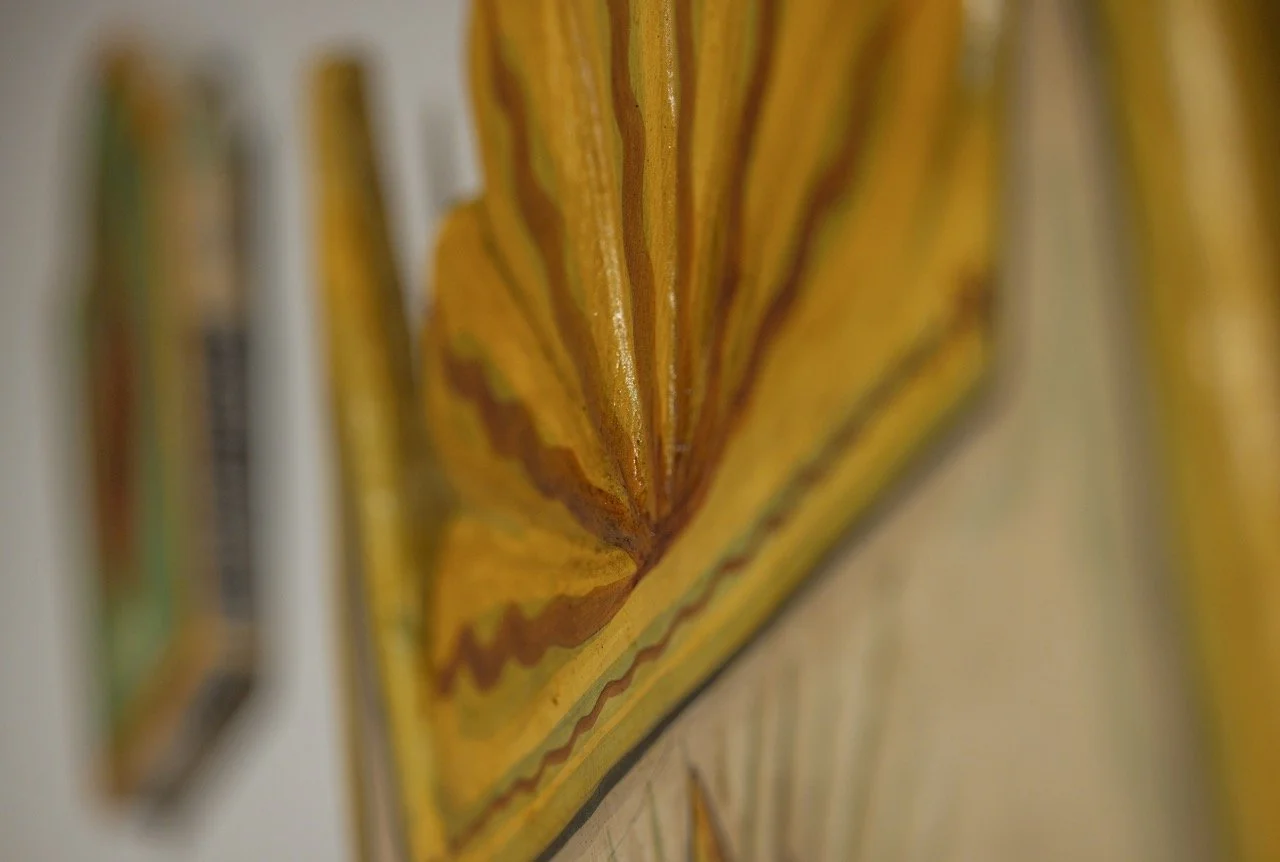 _48A5772 copy Large.jpeg