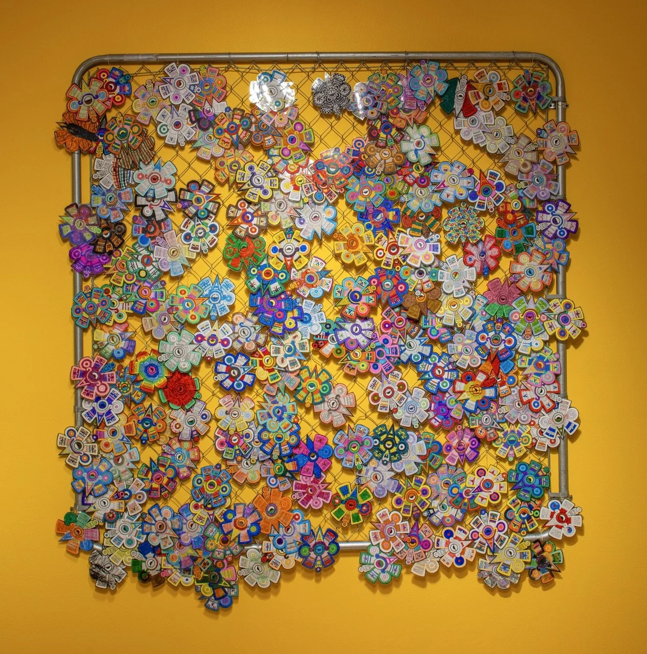 _48A5782 copy Large.jpeg