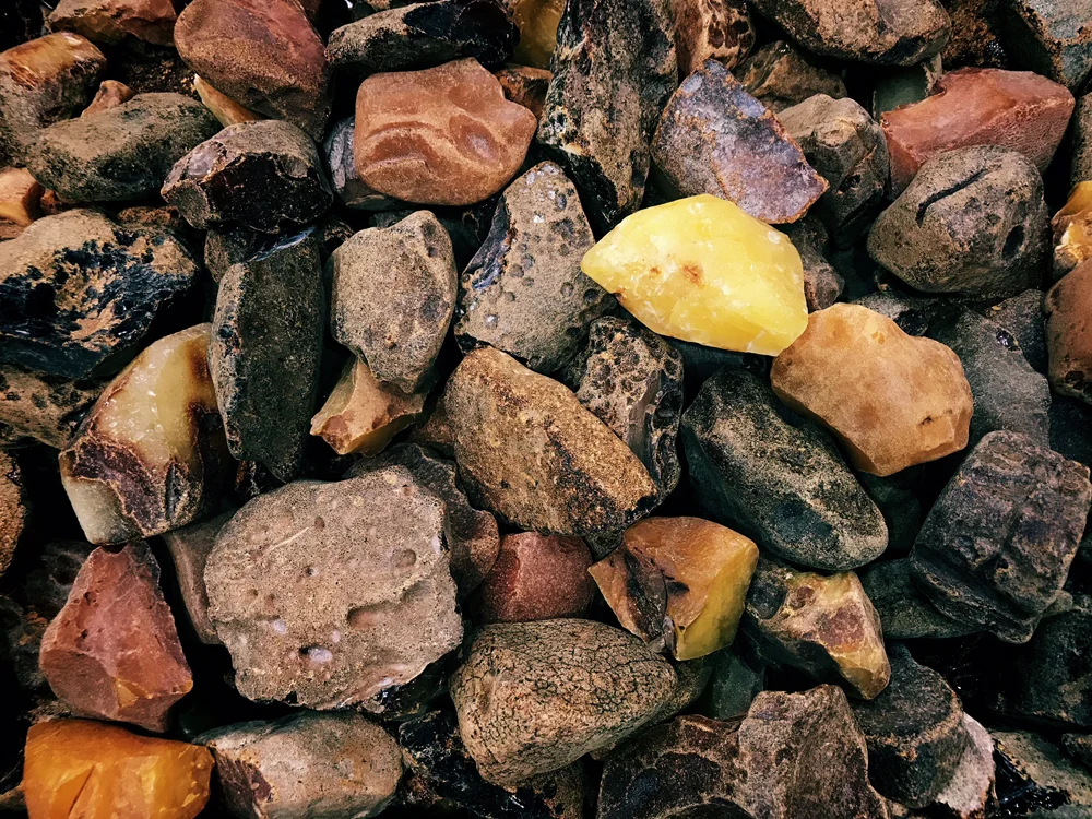amber18.jpg