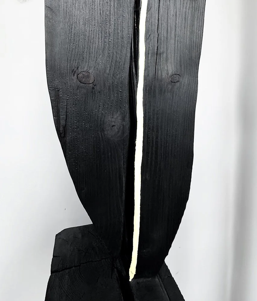 Untitled213-2det2.JPG