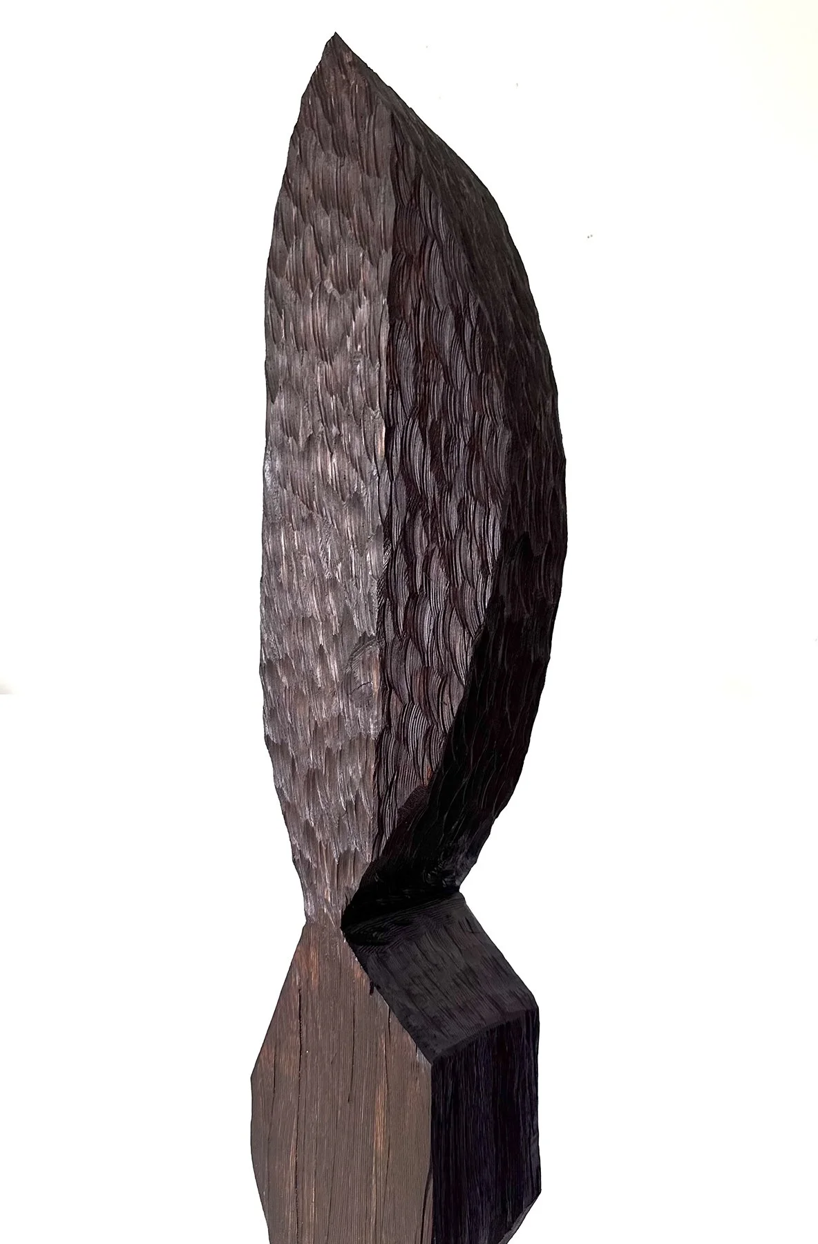 Untitled253det2.jpeg