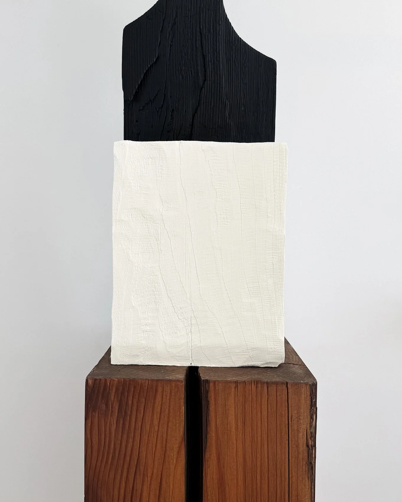 untitled235det1.JPG