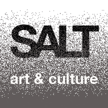 SALT logo v4.jpg