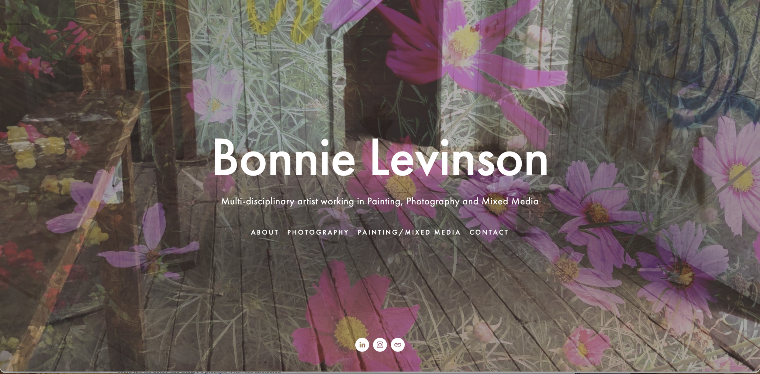 Bonnie Levinson Art