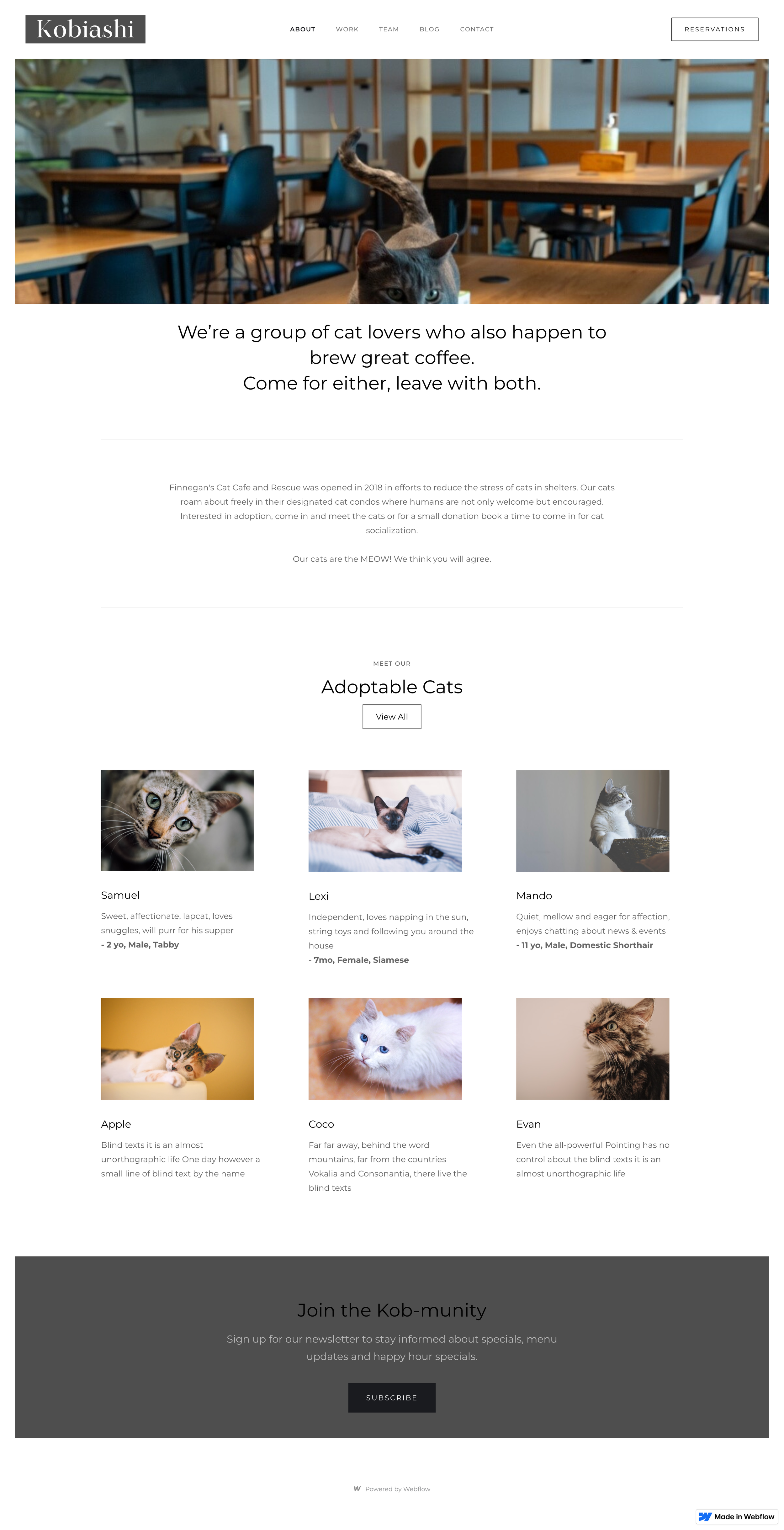 Webflow Mockup 3