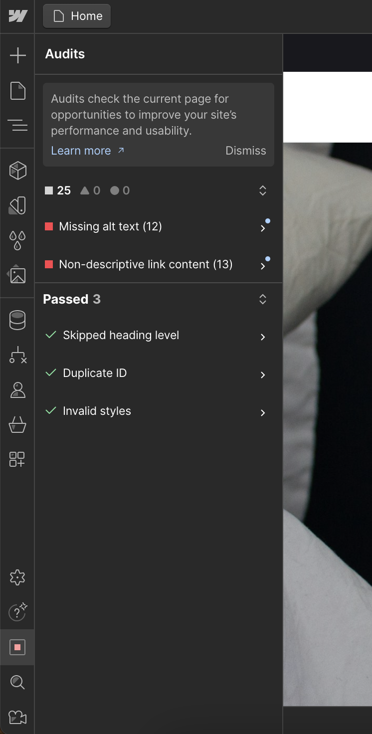 View of Webflow's built-in audit function
