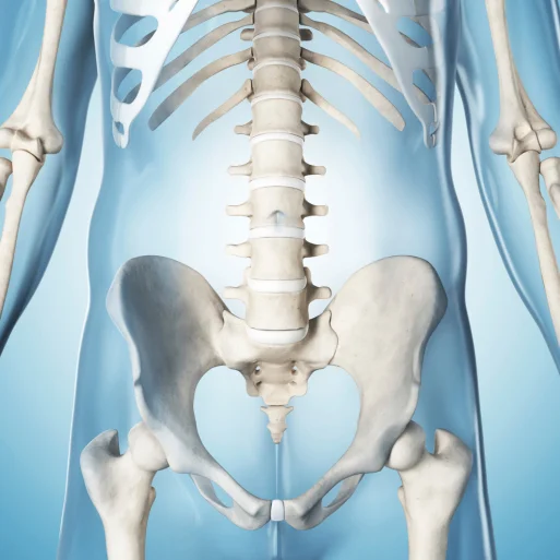 Pelvic Health + Pelvic Floor Physiotherapy