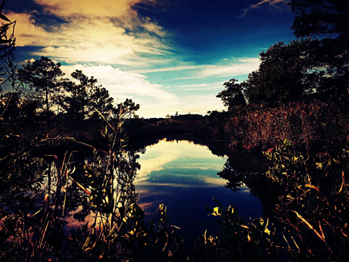 IMAGINARY BRIDGE