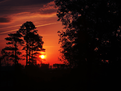 MORNING COLORS