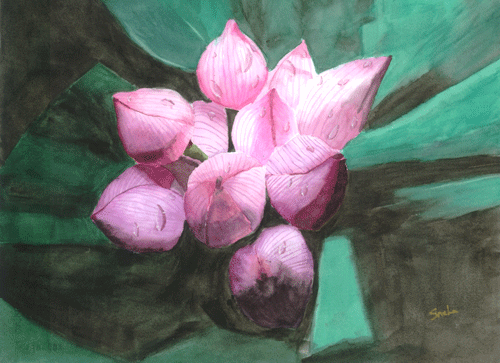 LOTUS BUDS