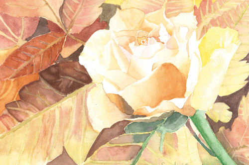 ROSE ON WARM TONES
