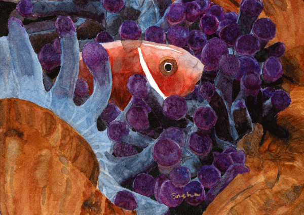 FISH